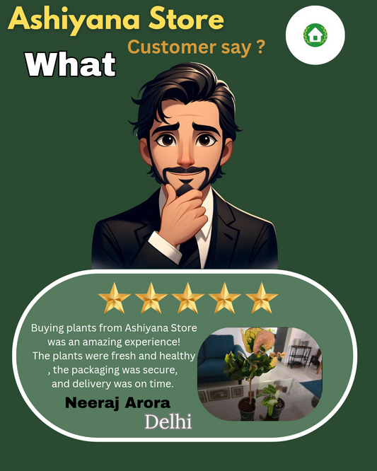Top 5 Online Plant Stores in India – Why Ashiyana Store is Winning Hearts