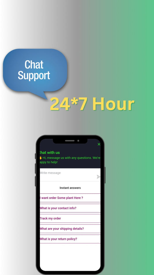 How Ashiyana Store Became Indiaβs Top Plant Shopping Website for All Your Green Needs!