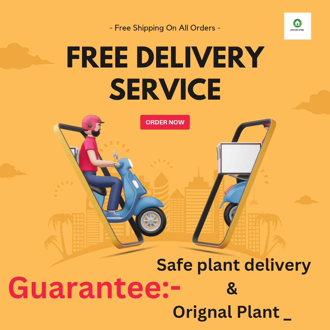 Flowering Creeper|Vines Plant| Creeper and Climbers plants| parennial plant