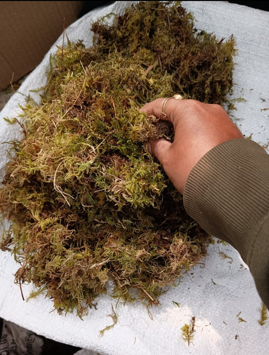 Spagnum Moss 1 kilograms