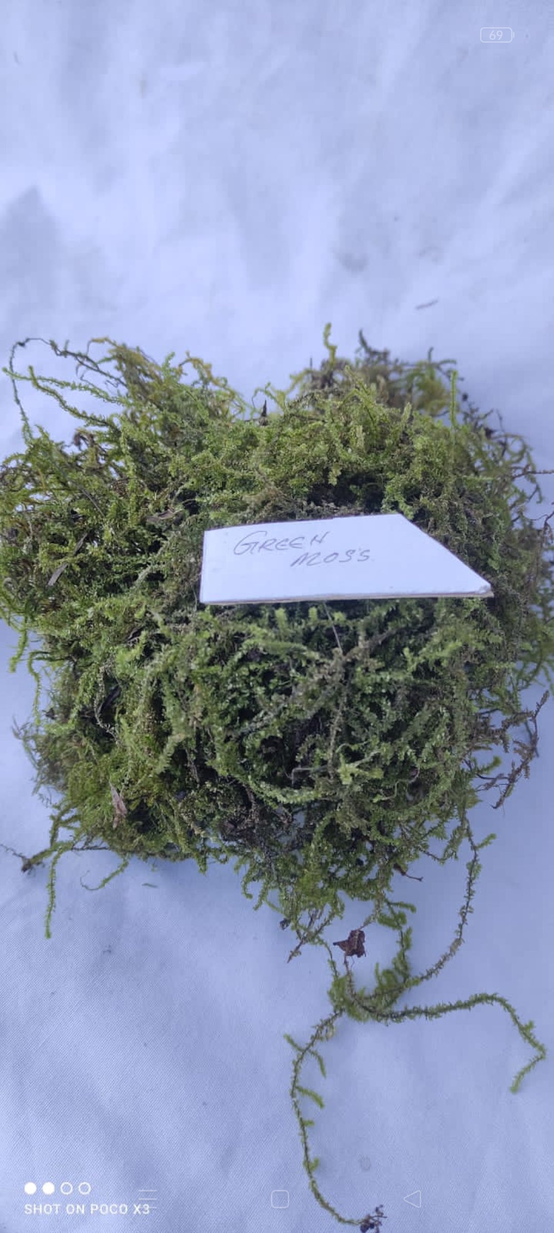 Spagnum Moss 1 kilograms