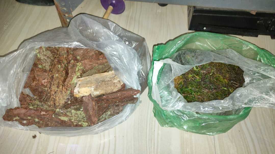 Pine bark 1 kilograms