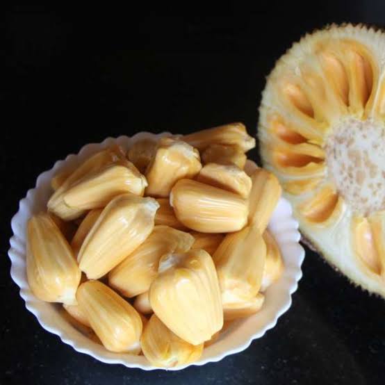 Kambodian/Cambodian Jackfruit Plant