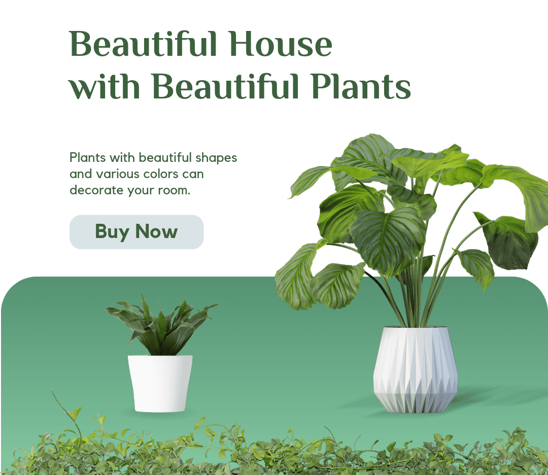 ASHIYANA STORE Home page Image