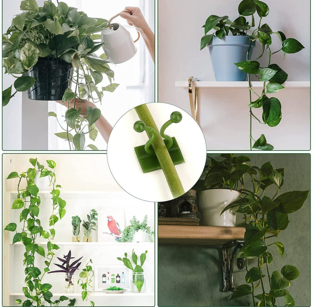 Wall plant Climbing Clips (30 pcs)