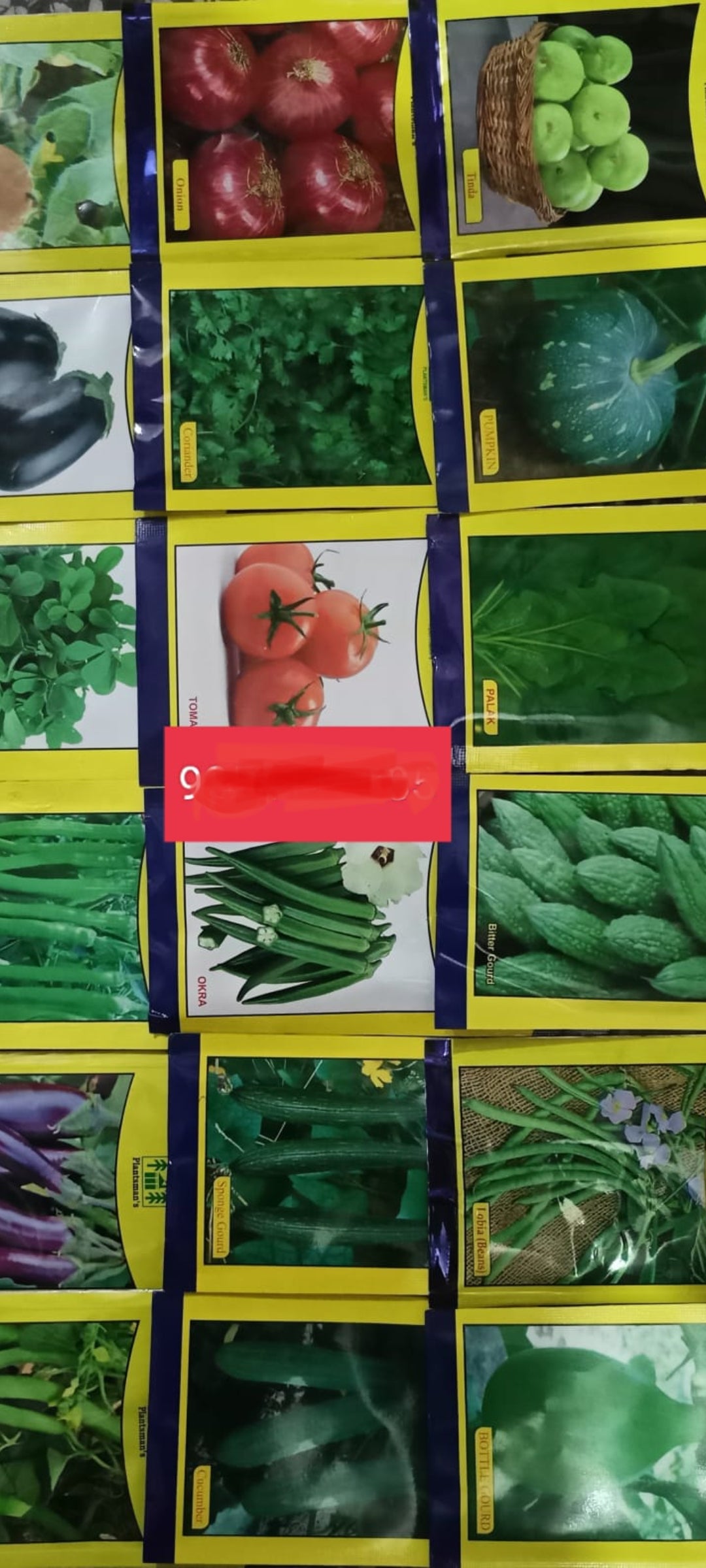 18 Summer vegitable combo seeds variety