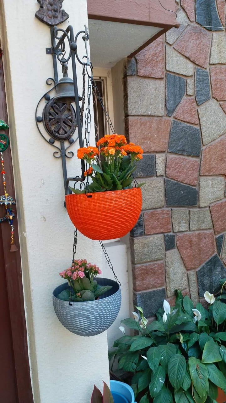 Hanging pot (pack of 10) with chain
