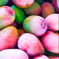 Suvarnarekha Grafted Mango β plant