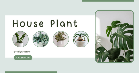 Easy Online Shopping for Plants