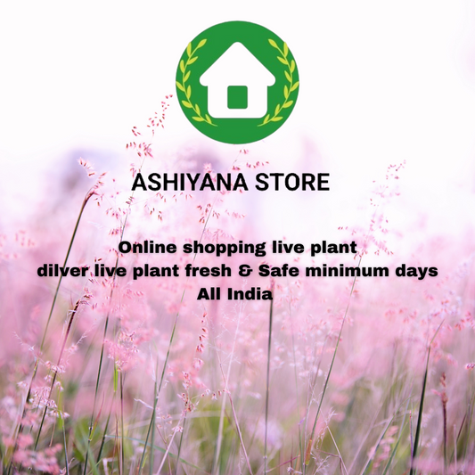 Find a Garden Nursery Near Me