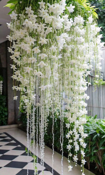Petra volubillis white creeper plant buy now (Ashiyana Rang-E-Shweta Chaaya Vine)