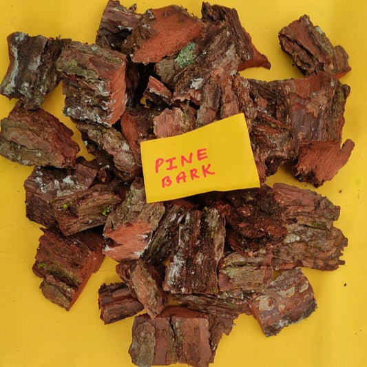 Pine Barks / Chips