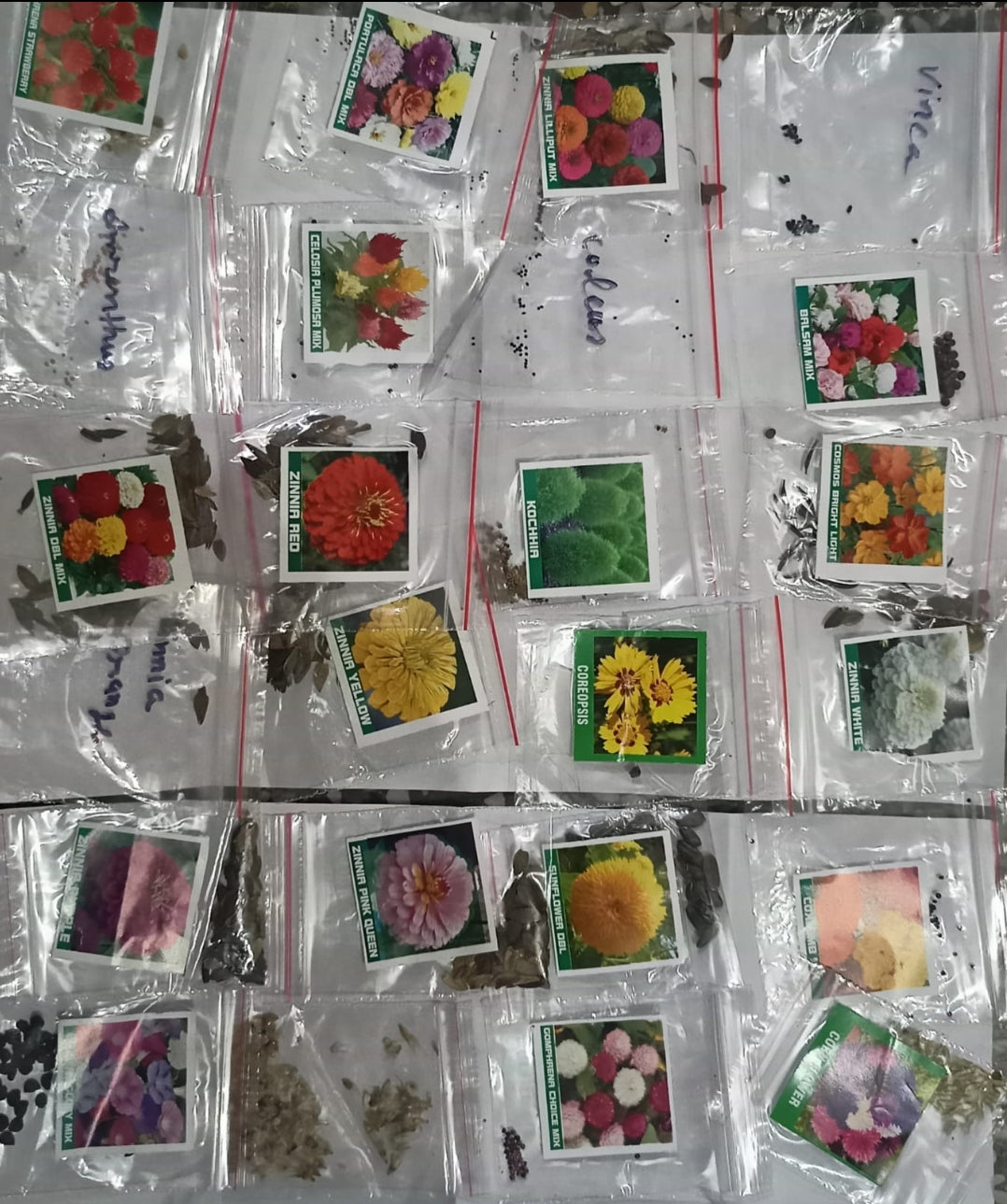 24 varity Summer seeds combo Flower seeds