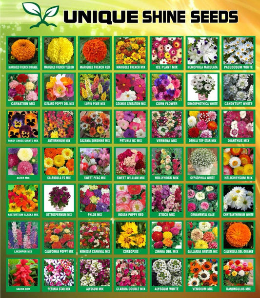 50 Winter flower seeds combo unique winter Flower seeds