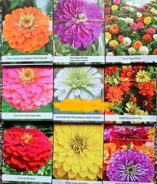 9 pouch zinnia combo summer Flower seeds