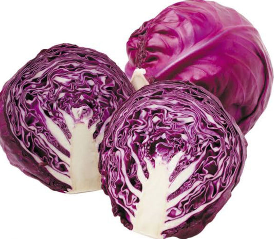 Red cabbage F1 vegitable seeds