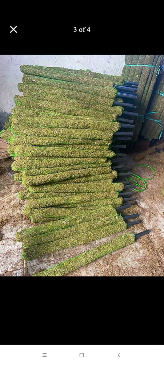 Super rain offer set of nine sticks (plant stick)