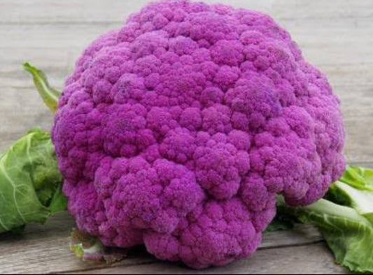 Cauliflower purple vegitable seeds