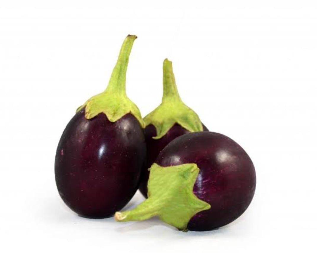 Brinjal round vegitable seeds