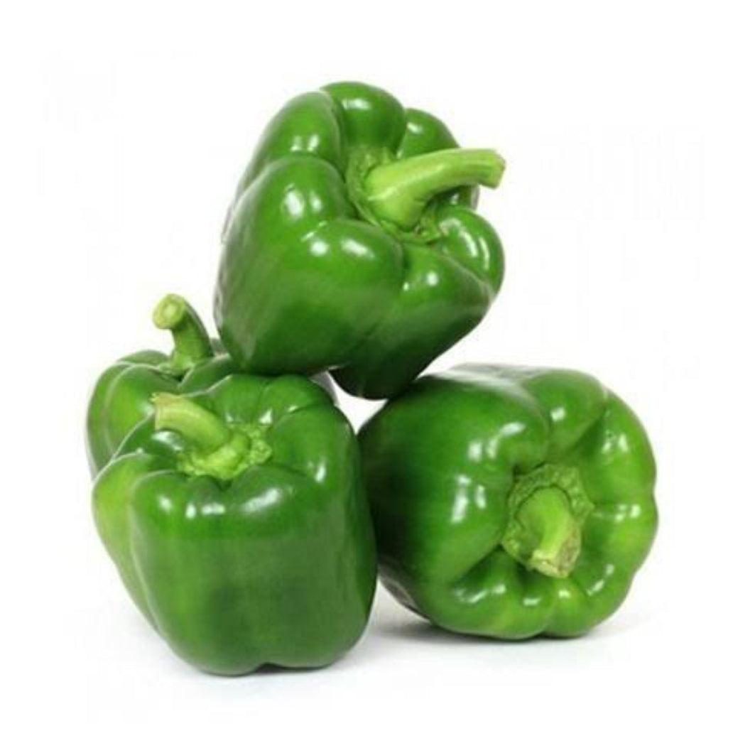 Capsicum Green Imported vegitable seeds