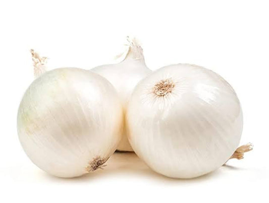 White onion vegitable seeds