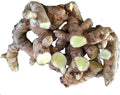 White turmeric seeds bulbs