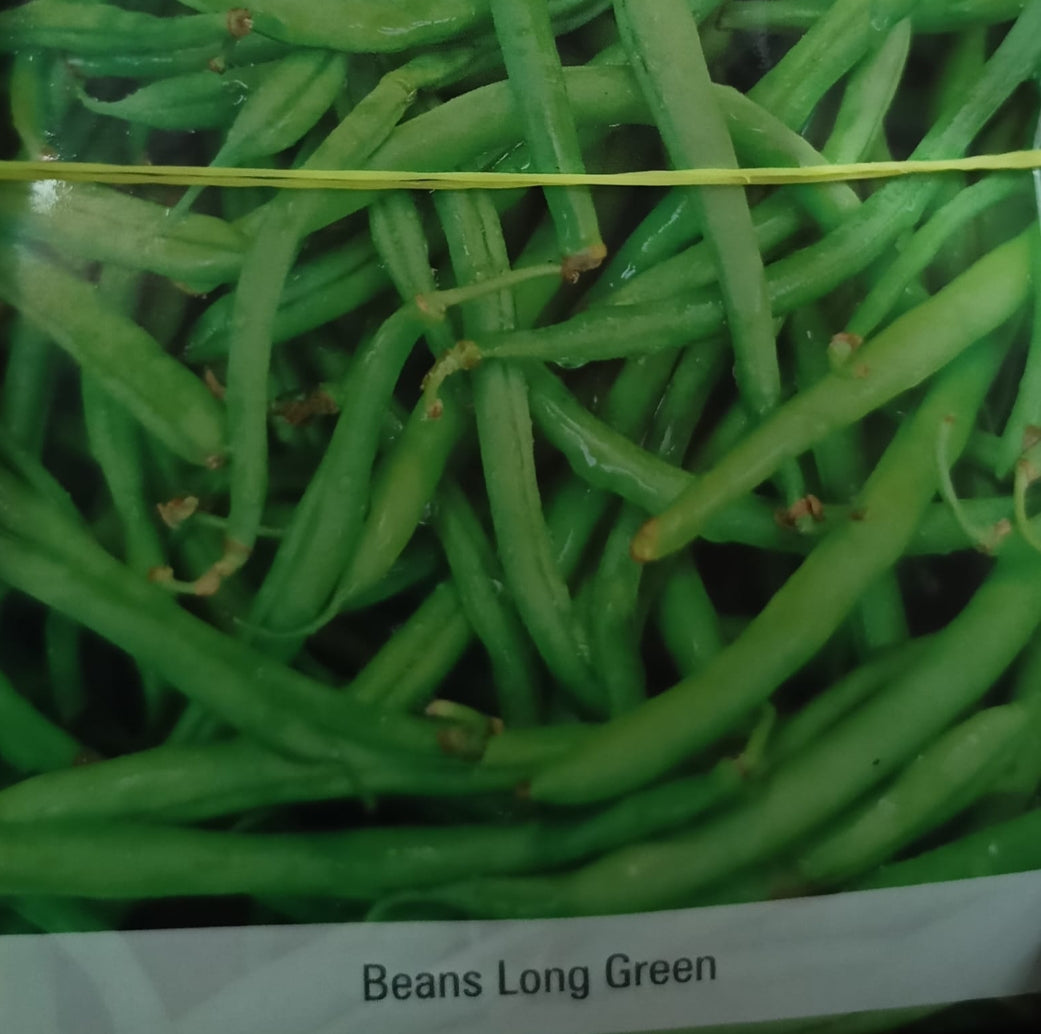 Beans long green bio vegitable seeds