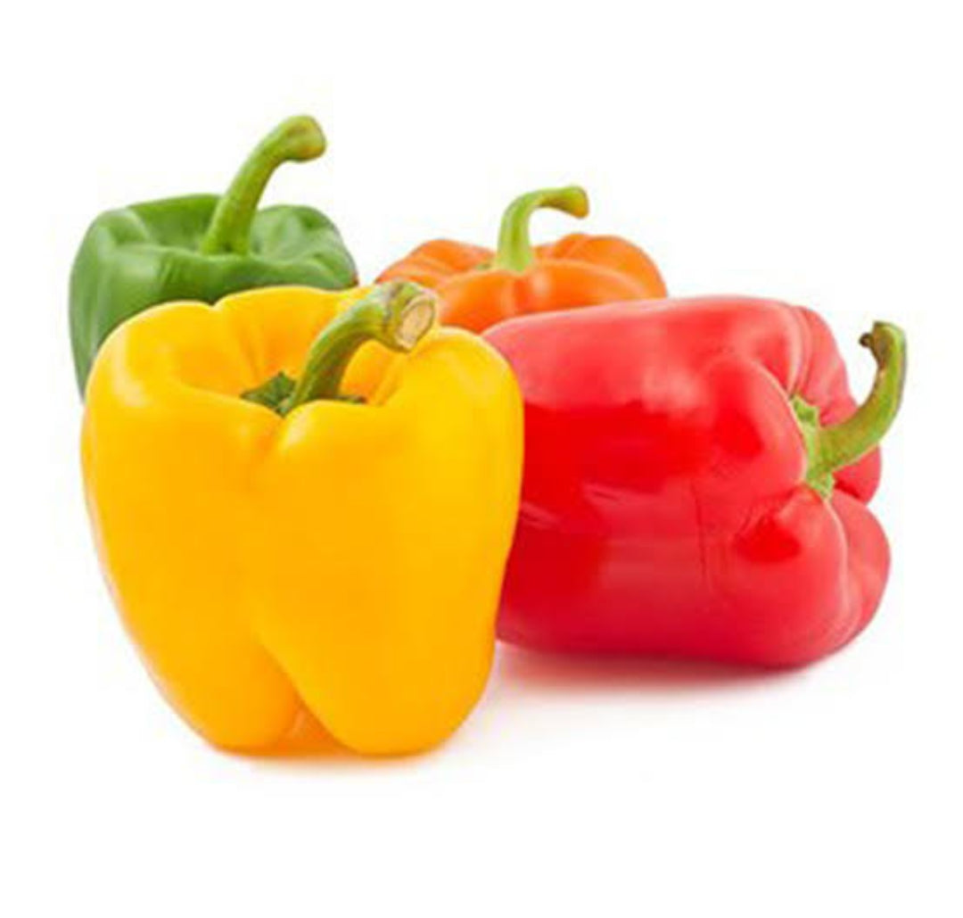 6 colour capsicum combo vegitable seeds(white, orange,red, purple, green, yellow)