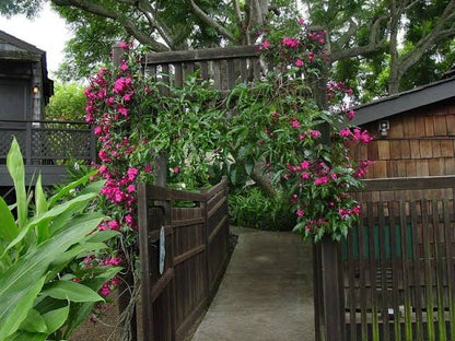 Ipomoea horstifolliae