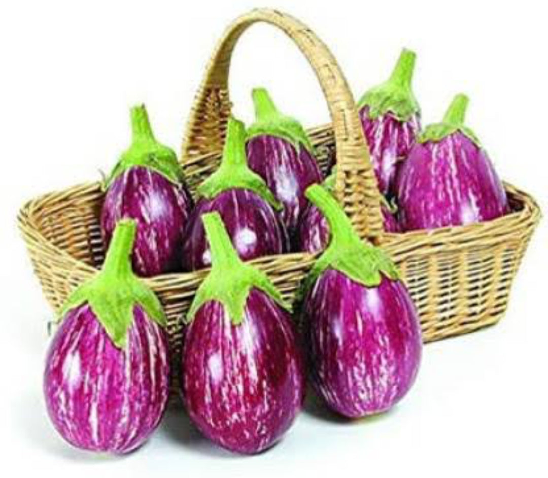 Brinjal CVK MK 124 vegitable seeds