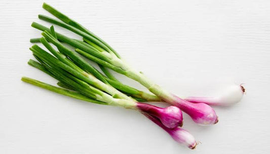 Spring onion bio vegitable seeds