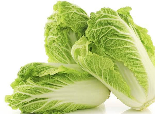 Chinese cabbage vegitable seeds