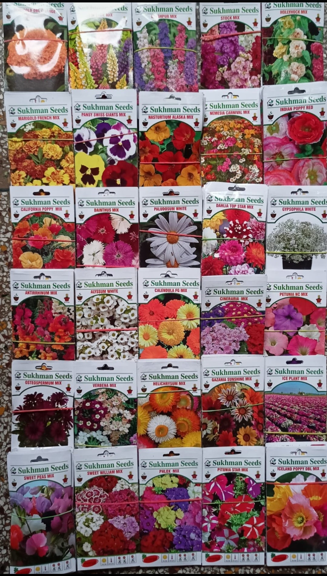 Super 30 winter Flower seeds