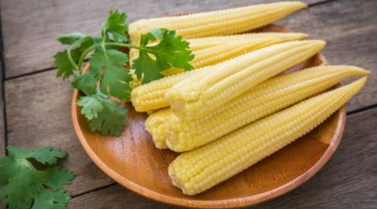 Baby corn F1 vegitable seeds