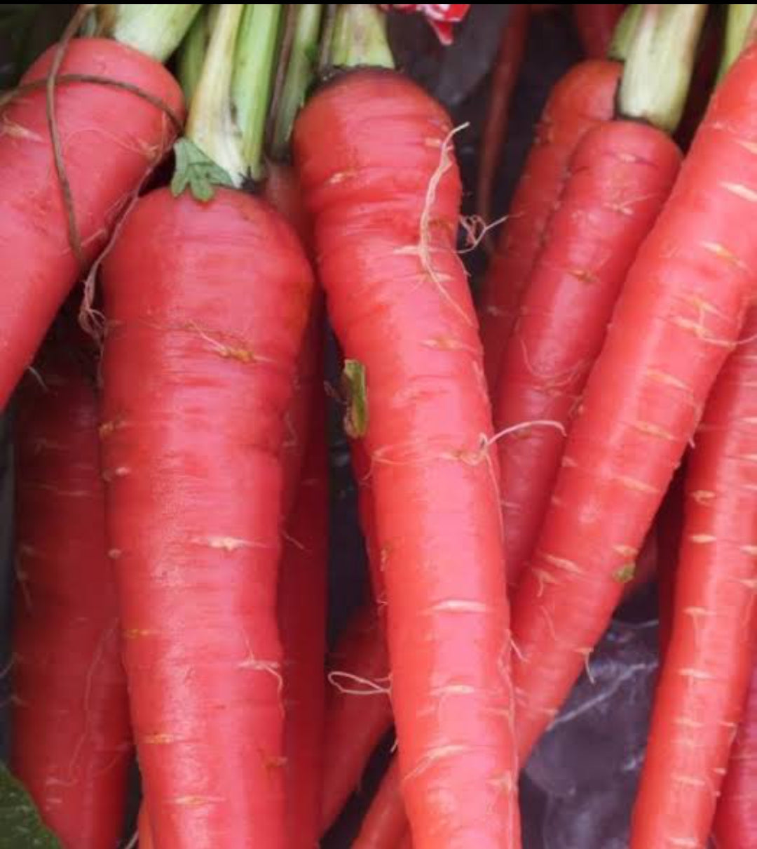 3 carrots vegitable seeds