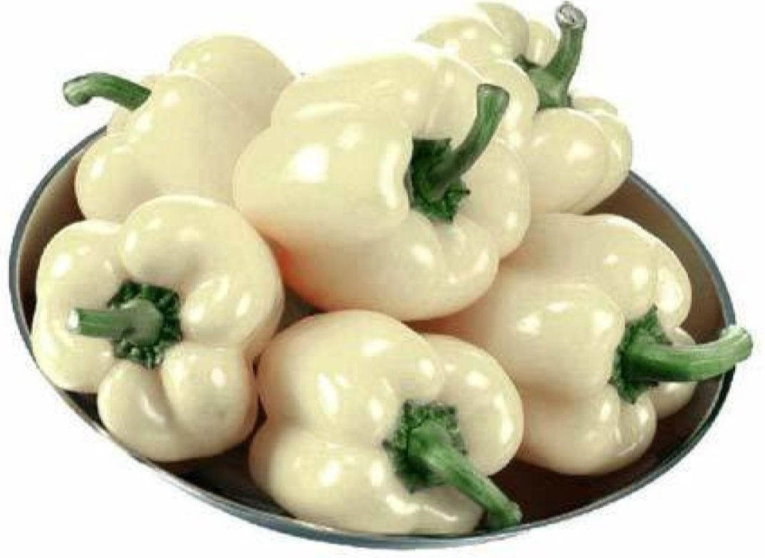 Capsicum Ivory white vegitable seeds