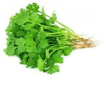 Coriander Dhaniya vegitable seeds